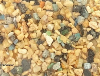 StGallen wissenschaft schuetzt gegen alkohol am steuer plastik im koerper und risiken auf dem teller