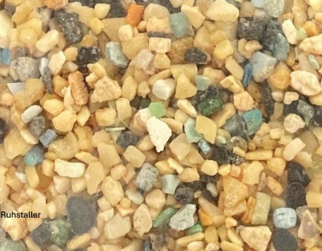 StGallen wissenschaft schuetzt gegen alkohol am steuer plastik im koerper und risiken auf dem teller