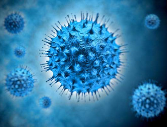 Body 22 Virus