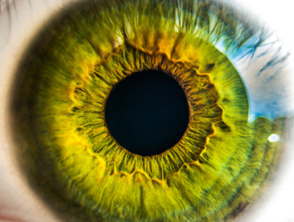 Body 45 Eye